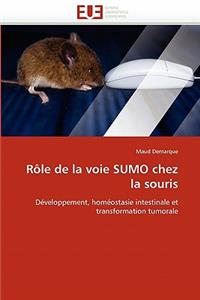 Rôle de la Voie Sumo Chez La Souris