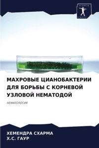 МАХРОВЫЕ ЦИАНОБАКТЕРИИ ДЛЯ БОРЬБЫ С КОРНЕ