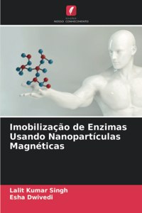 Imobilização de Enzimas Usando Nanopartículas Magnéticas
