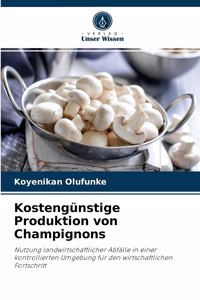 Kostengünstige Produktion von Champignons