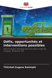 Défis, opportunités et interventions possibles