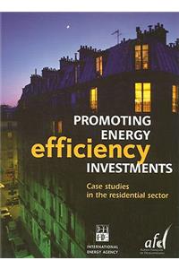 Promoting Energy Efficiency Investments