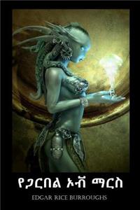 የ ማርስ ተዋጊ