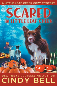 Scared in Little Leaf creek