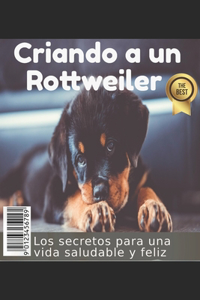 Criando a un Rottweiler