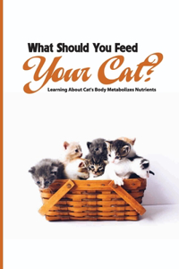 What Should You Feed Your Cat- Learning About Cat'S Body Metabolizes Nutrients