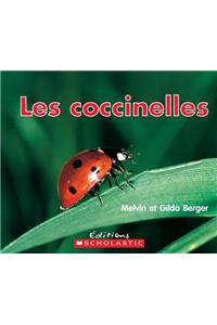 Lire Et D?couvrir: Les Coccinelles