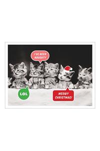 Vintage Cat Memes Notecards