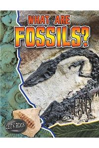 What Are Fossils?