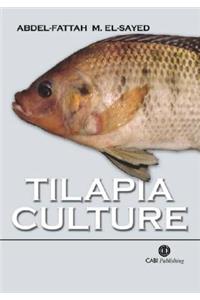 Tilapia Culture