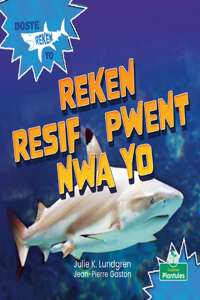Reken Resif Pwent Nwa Yo (Blacktip Reef Sharks)