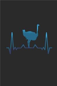 Ostrich Heartbeat