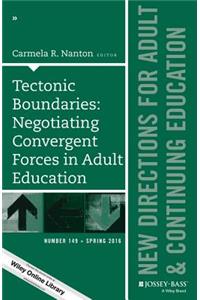 Tectonic Boundaries: Negotiating Convergent Forces in Adult Education