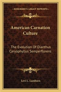 American Carnation Culture