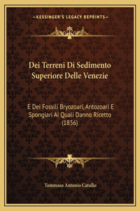 Dei Terreni Di Sedimento Superiore Delle Venezie