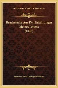 Bruchstucke Aus Den Erfahrungen Meines Lebens (1828)