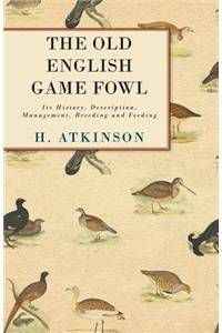 Old English Game Fowl - Its History, Description, Management, Breeding and Feeding
