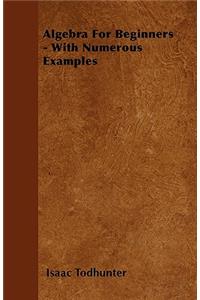 Algebra For Beginners - With Numerous Examples