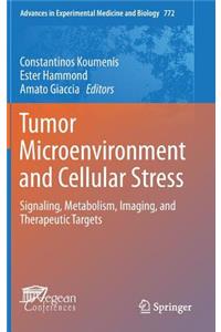 Tumor Microenvironment and Cellular Stress