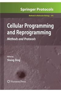 Cellular Programming and Reprogramming