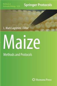 Maize