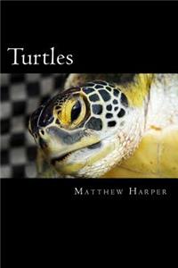 Turtles