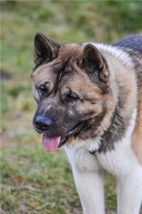 The Akita Dog Journal