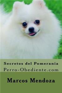 Secretos del Pomerania
