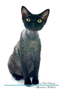 Devon Rex Affirmations Workbook Devon Rex Presents