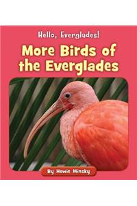 More Birds of the Everglades