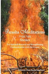 Parasha Meditations