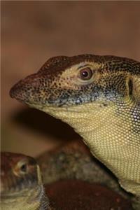 Water Monitor Lizard Journal