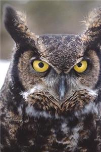 Say Hello to the Great Horned Owl Journal