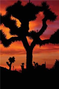 Joshua Tree Dusk Notebook
