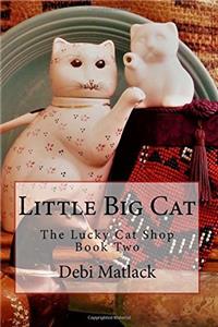 Little Big Cat