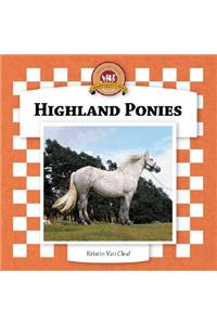 Highland Ponies