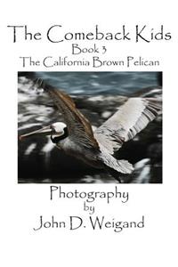 Comeback Kids, Book 3, the California Brown Pelican