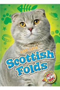 Scottish Folds