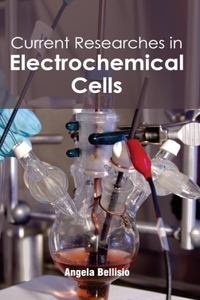 Current Researches in Electrochemical Cells