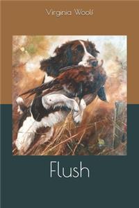 Flush