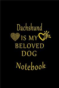 Dachshund Is My Beloved Dog Notebook