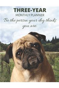 Three Year Monthly Planner Starting 2020 Agenda with Weekly Plan Space - Best Gift For Pug Dog Owner - Funny Puppy Appointment Book for 2021 & 2022