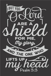 But You O Lord Are Shield for Me and My Glory And the One Who lifts Up My head Psalm 3