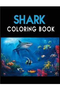 Shark Coloring Book