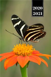 Butterfly Butterflies Insect Week Planner Weekly Organizer Calendar 2020 / 2021 - Zebra Longwing