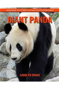 Giant panda