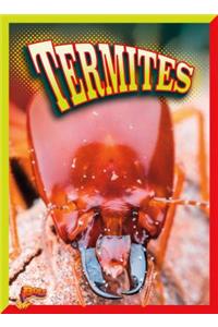 Termites