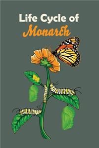 Life Cycle Of Monarch