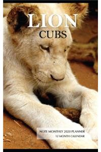 Lion Cubs Note Monthly 2020 Planner 12 Month Calendar
