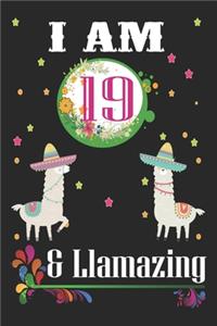 I Am 19 And Llamazing